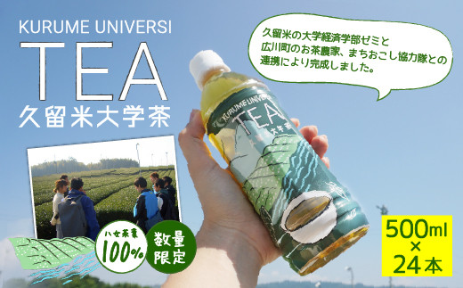 久留米大学茶 500ml 24本入 ペットボトル 1ケース お茶 緑茶 福岡県広川町 ふるさと納税 ふるさとチョイス