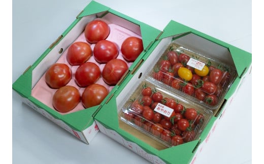 大分県玖珠町のふるさと納税 A-10 大分県玖珠町トマトファームのトマト３種セット