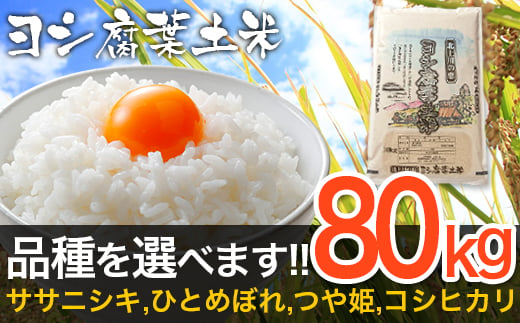 新米 年度産 定期便 品種が選べる ヨシ腐葉土米 80kg 毎月10kg 8回に渡りお届け 宮城県石巻市 ふるさと納税 ふるさと チョイス