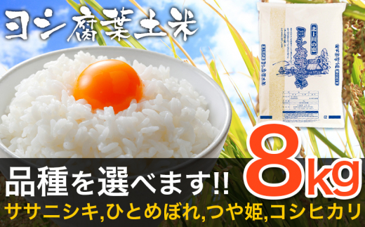 【新米予約】令和6年産　ヨシ腐葉土米 つや姫 精米8kg（4kg×2袋） 850873 - 宮城県石巻市