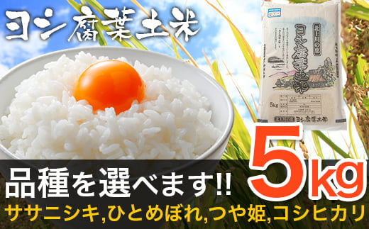 【新米予約】令和6年産 ヨシ腐葉土米 特別栽培米 コシヒカリ 節減対象農薬：栽培期間不使用（精米5kg） 849541 - 宮城県石巻市