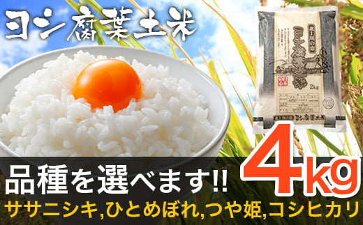 令和5年産 品種が選べる ヨシ腐葉土米 精米4kg（2kg×2袋）＜ひとめぼれ＞　 981073 - 宮城県石巻市