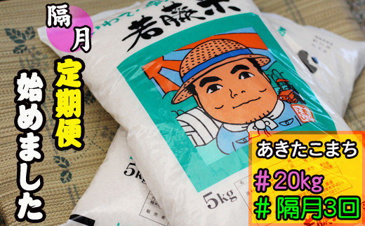 N 012 雫石町産 あきたこまち 精米 約20kg 1ヶ月おき定期便 3回 岩手県雫石町 ふるさと納税 ふるさとチョイス