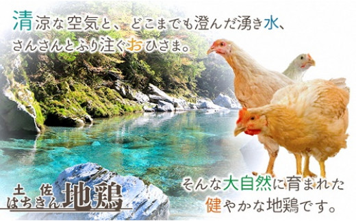 大川村土佐はちきん地鶏まるごと一羽おためしセット 計約1kg - 高知県