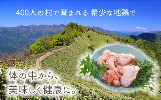 大川村土佐はちきん地鶏まるごと一羽おためしセット 計約1kg - 高知県
