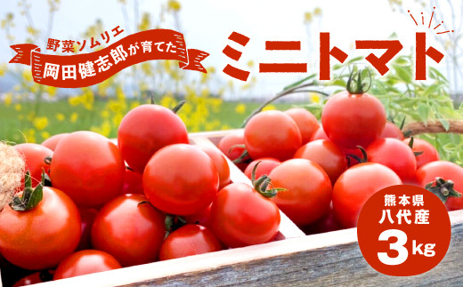 野菜 ソムリエ 岡田健志郎 が育てた ミニトマト 3kg