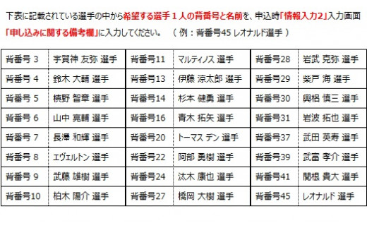 0091 ｌサイズ 浦和レッズ応援グッズ サイン入りユニフォーム タオルマフラー２本 埼玉県さいたま市 ふるさと納税 ふるさとチョイス