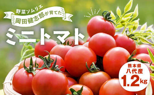 野菜 ソムリエ 岡田健志郎 が育てた ミニトマト 1.2kg