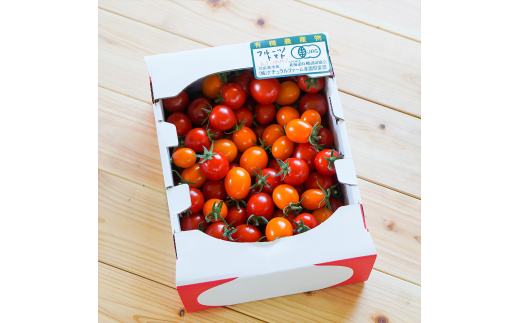 有機JAS認定「きたいろトマト」〈1.5kg×1箱〉