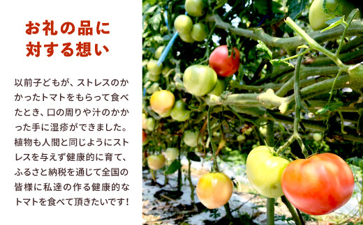 野菜 ソムリエ 岡田健志郎 が育てた ミニトマト 3kg