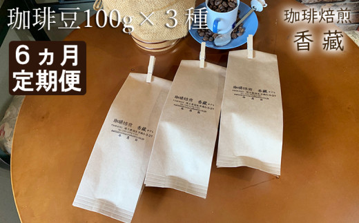 定期便 6回 コーヒー  豆 100g 3種類 毎月お届け おまかせ バラエティー セット  249516 - 埼玉県羽生市