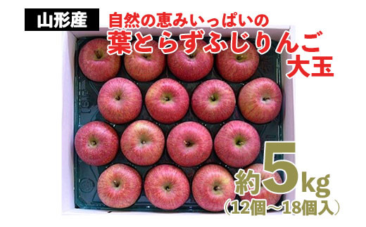 自然の恵みいっぱいの葉とらず ふじりんご 大玉 約5kg FZ22-030 - 山形