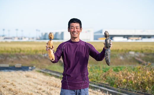 うんっま！！佐賀れんこん 3kg：B165-001