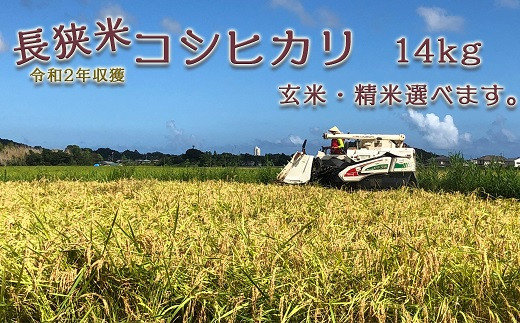 令和2年収獲の新米をお届け!玄米・精米がお選びいただけます。