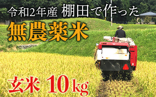 福岡県赤村のふるさと納税で選べるお礼の品一覧 ふるさとチョイス