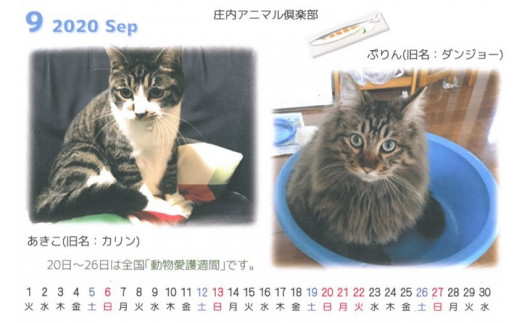 庄内アニマル倶楽部を卒業した犬猫の、現在の姿のカレンダーです。
ハガキサイズ / 卓上式（透明ガラスケース付き）