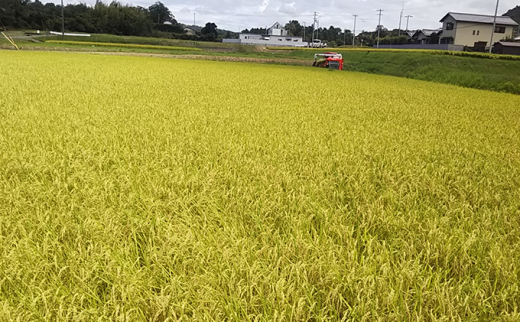 №4631-2022]はなまる農園 令和5年 新米 香川県産「コシヒカリ（玄米