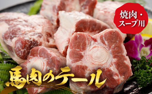 Fkp9 212 馬肉のテール 焼肉 スープ用 熊本県球磨村 ふるさと納税 ふるさとチョイス