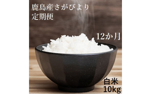 S 6 新鮮米 佐賀県鹿島市産さがびより 白米１０kg定期便 １２か月お届け 佐賀県鹿島市 ふるさと納税 ふるさとチョイス