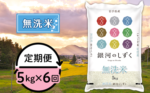 【6ヶ月連続お届け】岩手県産銀河のしずく5kg