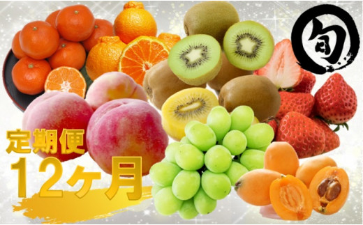 0 さぬき旬のフルーツ大満足１２ヶ月セット 香川県三木町 ふるさと納税 ふるさとチョイス