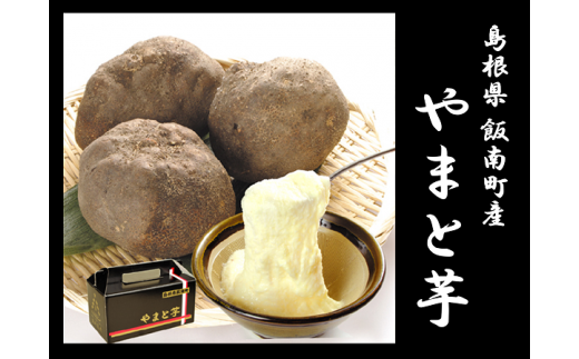 天然山芋（自然薯）に匹敵する強い粘りと濃厚な旨味が特徴で、「芋の王様」とも呼ばれています。