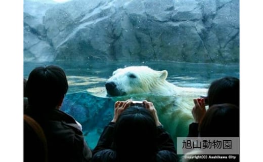 旭山動物園のある街 旭川へ Jtbふるさと納税旅行クーポン 3 000円分 北海道旭川市 ふるさと納税 ふるさとチョイス