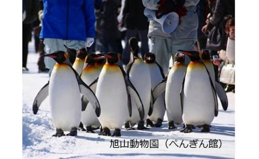 旭山動物園のある街 旭川へ Jtbふるさと納税旅行クーポン 15 000円分 北海道旭川市 ふるさと納税 ふるさとチョイス