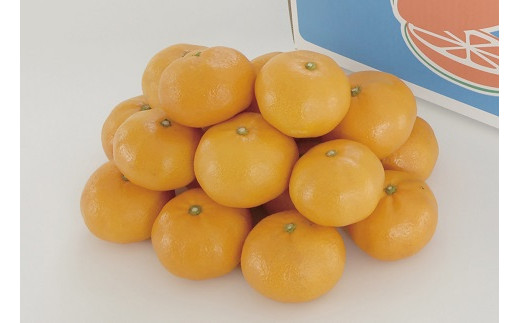 C06-701　ヨシファームの柑橘定期便【1月～7月、9月、11月：全9回お届け】※予約受付