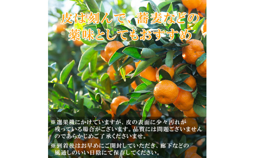 A 052 先行予約受付中 21年11月下旬 22年1月上旬の間に発送予定 鹿児島小みかん5kg 森農園 鹿児島県霧島市 ふるさと納税 ふるさとチョイス