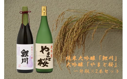 純米大吟醸「鯉川」・大吟醸「やまと桜」2本セット（1800ml×2本）