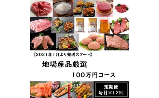 Bg099 定期便 地場産品厳選 12回コース 100万円コース 佐賀県みやき町 ふるさと納税 ふるさとチョイス