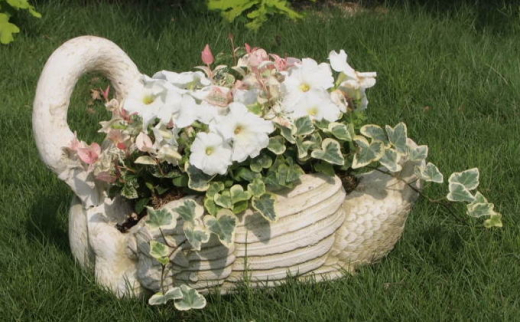 季節のお花寄せ植え（白鳥型鉢）