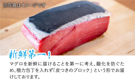 22年7月から順次配送 人気返礼品が復活 Bak012 長崎県産 本マグロ 中トロ 約700g 大村湾漁業協同組合 長崎県東彼杵町 ふるさと納税 ふるさとチョイス