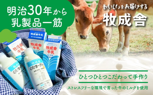 明治30年創業の牛乳屋の牛乳屋の飛騨産生乳で作る　ヨーグルト盛りだくさんセット