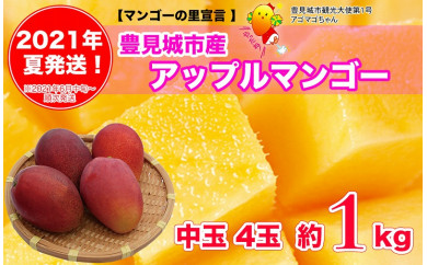 【2021年夏発送】豊見城完熟アップルマンゴー(中玉4玉)