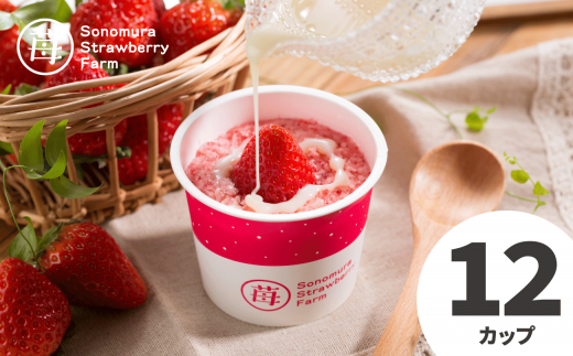 74-33　園村苺園　熊本県宇土産 完熟冷凍いちご「さら苺」12カップ　練乳付き|