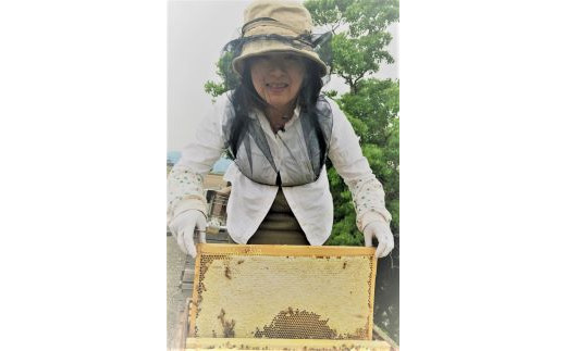 創業６０年。父の跡を継ぎ、女性養蜂家としてみなさんにおいしいはちみつを届けられる様、日々頑張っています。