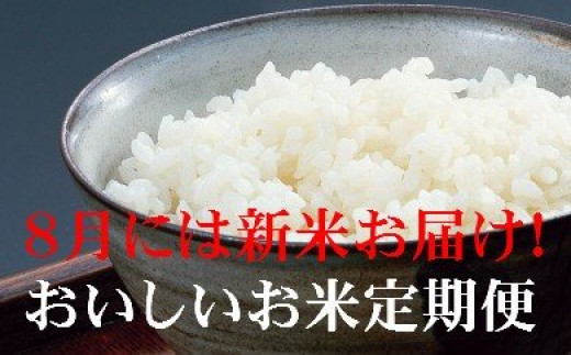 お米定期便 おいしい土佐の米よさこい舞 偶数月１０kg P 13 高知県香南市 ふるさと納税 ふるさとチョイス