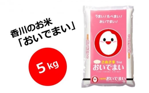 【令和5年産】　香川のお米　おいでまい　5kg_お米 551033 - 香川県観音寺市