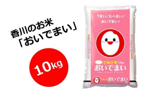 【令和5年産】　香川のお米　おいでまい　10kg_お米 551037 - 香川県観音寺市