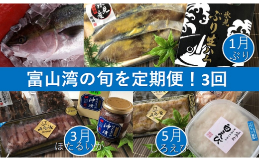 格安販売中 魚介類 魚貝類 加工食品 ブリ 詰め合わせ ブリ 鰤 魚津 富山県 ふるさと納税 冷凍 富山湾産ぶり贅沢づくしセット ブリ Indonesiadevelopmentforum Com