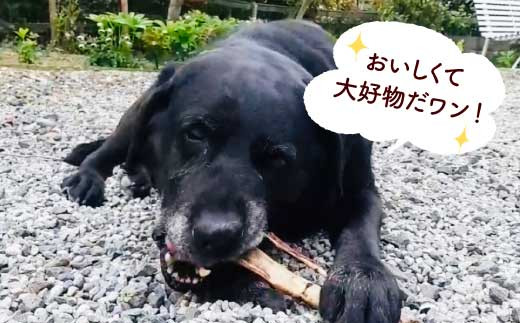 大型犬用 犬の無添加おやつ 天然イノシシの骨ガム Fbk005 吉野ヶ里まちづくり会 ドッグフード 犬用品 ペット用品 佐賀県吉野ヶ里町 ふるさと納税 ふるさとチョイス