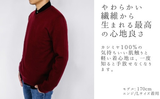 【K8009】カシミヤ100％Vネックセーター(メンズ)　エンジ・LL 586201 - 新潟県五泉市