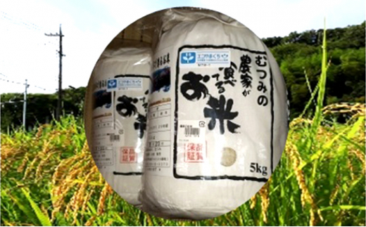 [№5226-0136]農家が食べてるお米「コシヒカリ」5kg×2 586175 - 山口県萩市