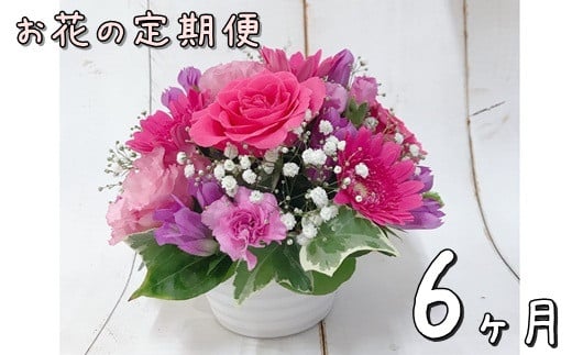 お花の定期便 フラワーアレンジメント 6ヶ月連続届く 【759】 250817 - 岩手県花巻市