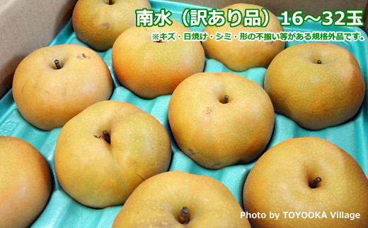 キズ・日焼け・シミ・形の不揃い等がある規格外品です。