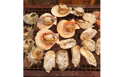 殻付きマガキ約 1kg(10~18個程度)、ひおうぎ貝10枚(いずれも加熱調理用)
