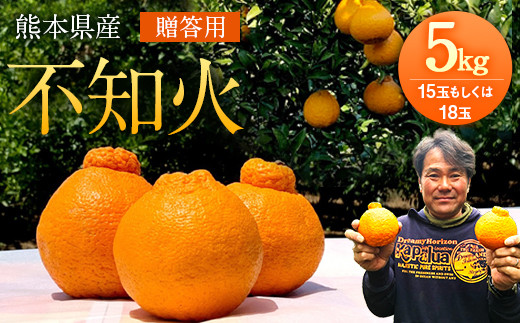 熊本県産 不知火 5kg(15玉もしくは18玉)贈答用 吉良果樹園