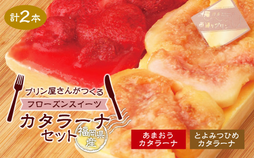 福岡県産カタラーナセット 2種 あまおう とよみつひめ 詰め合わせ